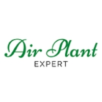 Brands,  Businesses, Places & Professionals Air Plant Expert in Slidell LA