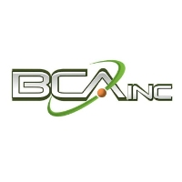 BCA IT, Inc.