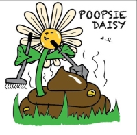 Poopsie Daisy LLC