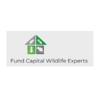 Brands,  Businesses, Places & Professionals Fund Capital Wildlife Experts in Greenwich CT