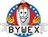 Brands,  Businesses, Places & Professionals Bywex - SEO Services & Web Design NYC in New York NY