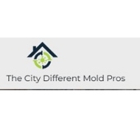 The City Different Mold Pros