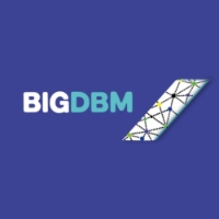 BIG DBM