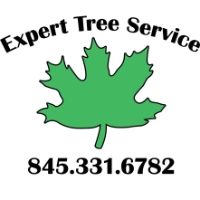 Brands,  Businesses, Places & Professionals Expert Tree Service in Saugerties NY