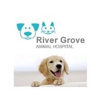 Brands,  Businesses, Places & Professionals River Grove Animal Hospital in Mississauga ON