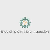 Blue Chip City Mold Inspection