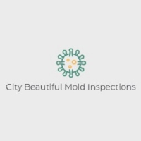 City Beautiful Mold Inspections