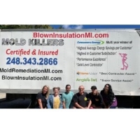 Brands,  Businesses, Places & Professionals BlownInsulationMI.com LLC in  MI