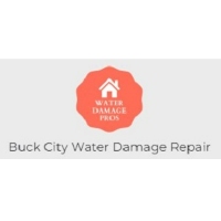 Buck City Water Damage Repair