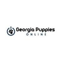 Brands,  Businesses, Places & Professionals Georgia Puppies Online in Marietta GA