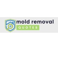 Dauphin County Mold Removal