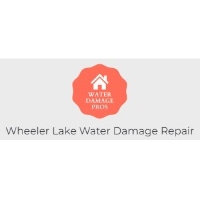 Brands,  Businesses, Places & Professionals Wheeler Lake Water Damage Repair in Decatur AL