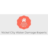 Brands,  Businesses, Places & Professionals Nickel City Water Damage Experts in Buffalo NY