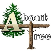 Brands,  Businesses, Places & Professionals About Trees in Redding CA