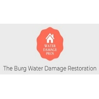 The Burg Water Damage Restoration