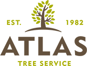 Brands,  Businesses, Places & Professionals Atlas Tree Service in Spring Valley CA