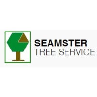 Brands,  Businesses, Places & Professionals Seamster Tree & Stumpdoctor stump grinding in 2131 Rougemount Ln, Kernersville, NC 27284, United States NC