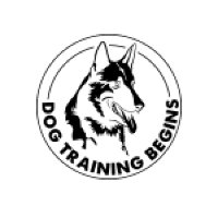 Dog Training Begins