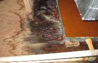 Mold Removal Allentown Solutions