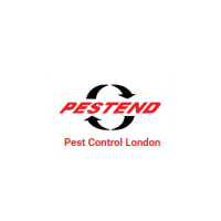 Brands,  Businesses, Places & Professionals Pestend Pest Control London in London CA