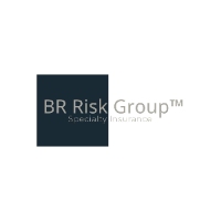 Brands,  Businesses, Places & Professionals BR Risk Group Specialty Insurance in Boston MA