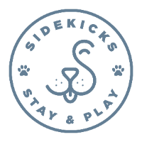 Sidekicks Stay & Play