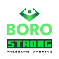 Boro Strong Soft Pressure House Washing Co.