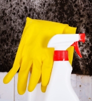 Brands,  Businesses, Places & Professionals Mold Removal Lexington Solutions in Lexington KY