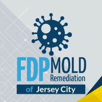 Brands,  Businesses, Places & Professionals FDP Mold Remediation of Jersey City in Jersey City NJ