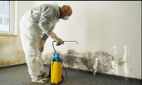 Brands,  Businesses, Places & Professionals Mold Remediation West Jordan Solutions in West Jordan, UT 84081 UT