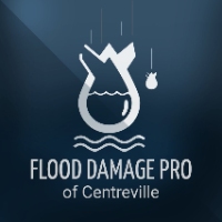 Brands,  Businesses, Places & Professionals Flood Damage Pro of Centreville in Centreville VA