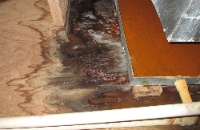 Mold Remediation Provo UT Solutions