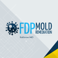 FDP Mold Remediation of Baltimore