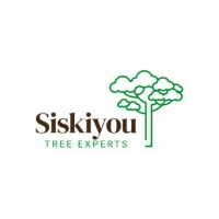 Siskiyou Tree Experts