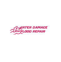 Brands,  Businesses, Places & Professionals Ace Water Damage Restoration Baltimore in Baltimore MD