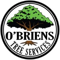 Brands,  Businesses, Places & Professionals O’Briens Tree Services in Curtin ACT