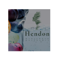 Brands,  Businesses, Places & Professionals Hendon Hydration and Aesthetics in Franklin TN