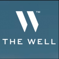 THE WELL