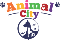 Animal City