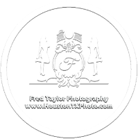 FT-Photo Studio • Family Headshots Kids Photography