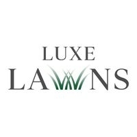 Brands,  Businesses, Places & Professionals Luxe Lawns in Scottsdale AZ