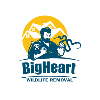Brands,  Businesses, Places & Professionals BigHeart Wildlife Removal in  