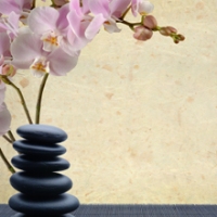 Brands,  Businesses, Places & Professionals Wellness Thai Massage & Day Spa in Spring TX