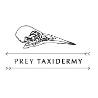 Brands,  Businesses, Places & Professionals Prey Taxidermy in Los Angeles CA