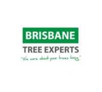 Brands,  Businesses, Places & Professionals Brisbane Tree Experts in Brisbane City QLD