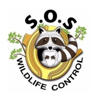 Brands,  Businesses, Places & Professionals SOS Wildlife Control Incorporated in Scarborough ON