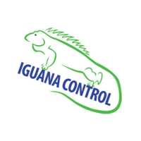 Brands,  Businesses, Places & Professionals Iguana Control in Key West FL