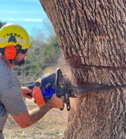 Brands,  Businesses, Places & Professionals J & J TREE CARE PROFESSIONALS in Spring Branch TX