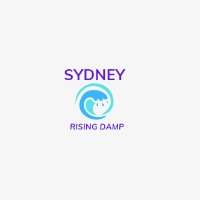 Brands,  Businesses, Places & Professionals Sydney Rising Damp in Newtown NSW