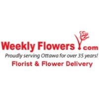 Brands,  Businesses, Places & Professionals Weekly Flowers in Ottawa ON